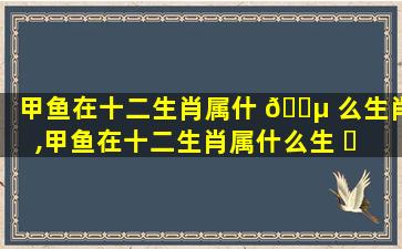 甲鱼在十二生肖属什 🐵 么生肖,甲鱼在十二生肖属什么生 ☘ 肖的动物